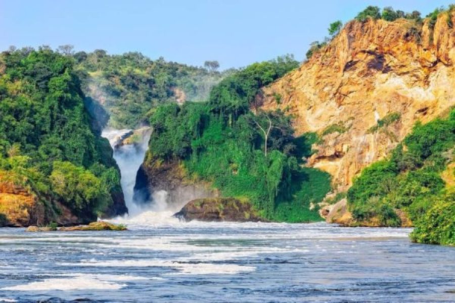 3-Day Murchison Falls National Park Safari