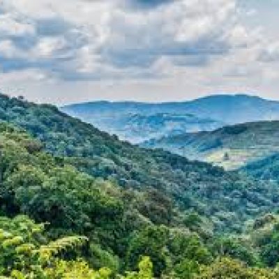 Bwindi Impenetrable NP