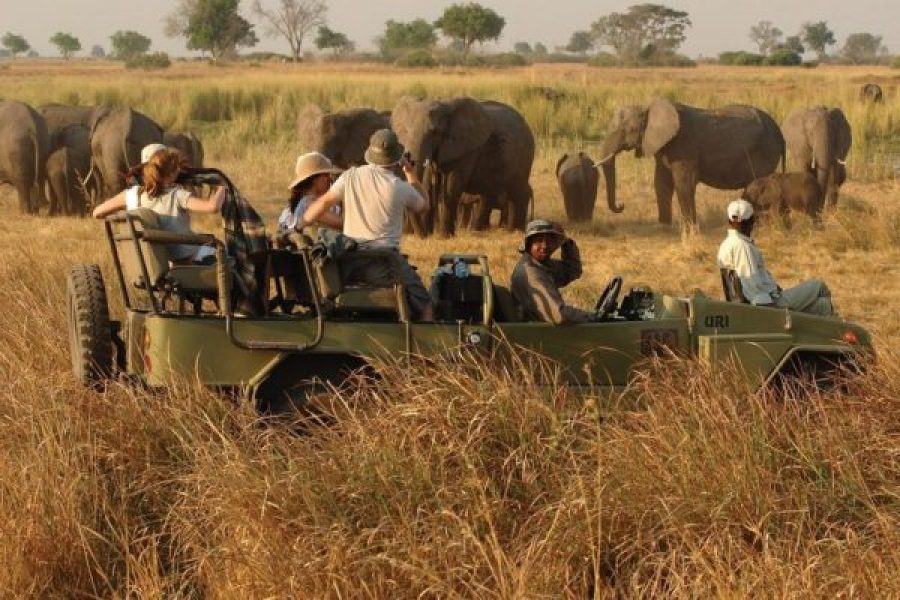 7-Day Karamoja & Kidepo Safari Adventure