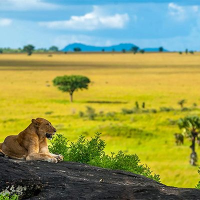 Kidepo NP