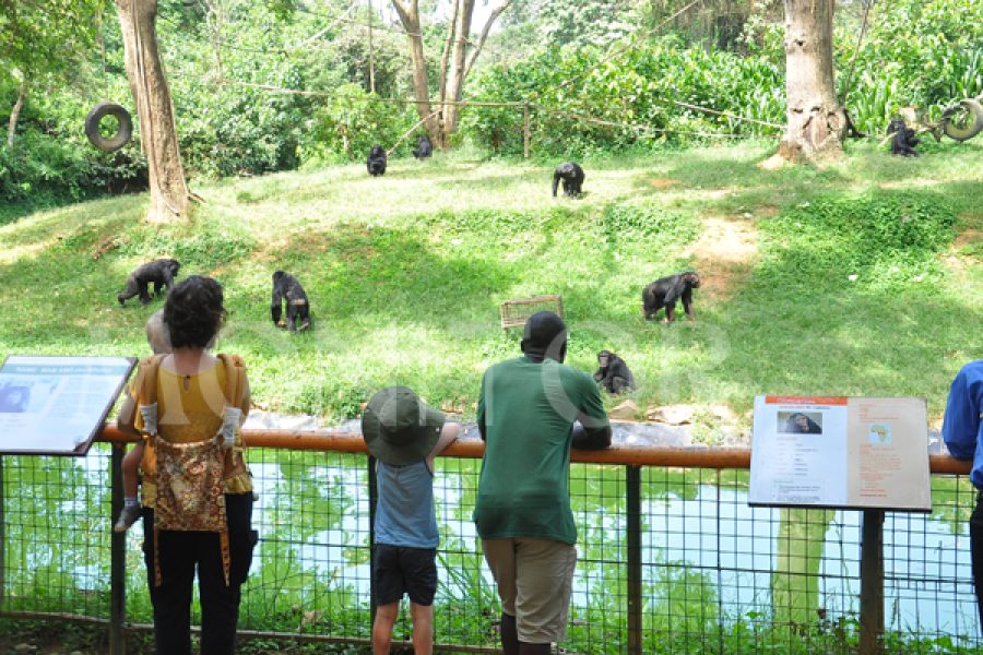 Uganda Student Tours